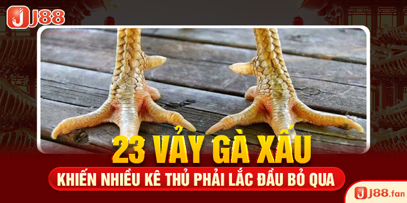 23 Vảy Gà Xấu Khiến Nhiều Kê Thủ Phải Lắc Đầu Bỏ Qua 1 23 Vảy Gà Xấu Khiến Nhiều Kê Thủ Phải Lắc Đầu Bỏ Qua